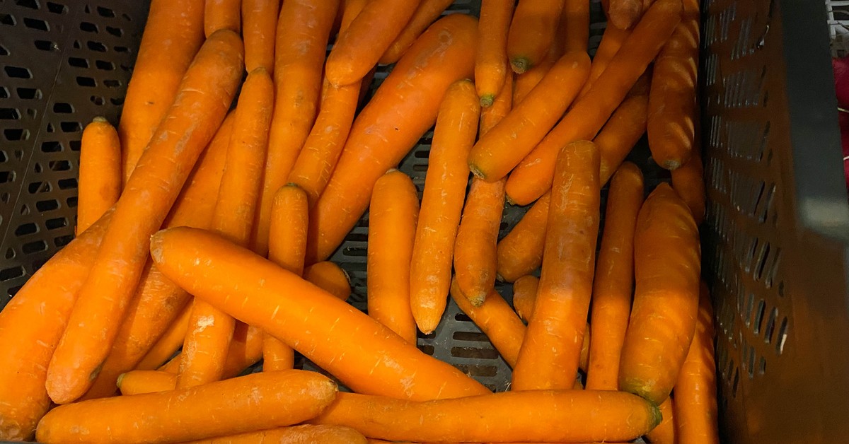 Fakt_pl's tweet image. 16 ton marchwi z Rosji zatrzymane na granicy. Inspektorzy odkryli coś niepokojącego, co mogło trafić na nasze stoły. Co się stało? 👉 brnw.ch/21wT9xC 
#pieniadze #marchewka