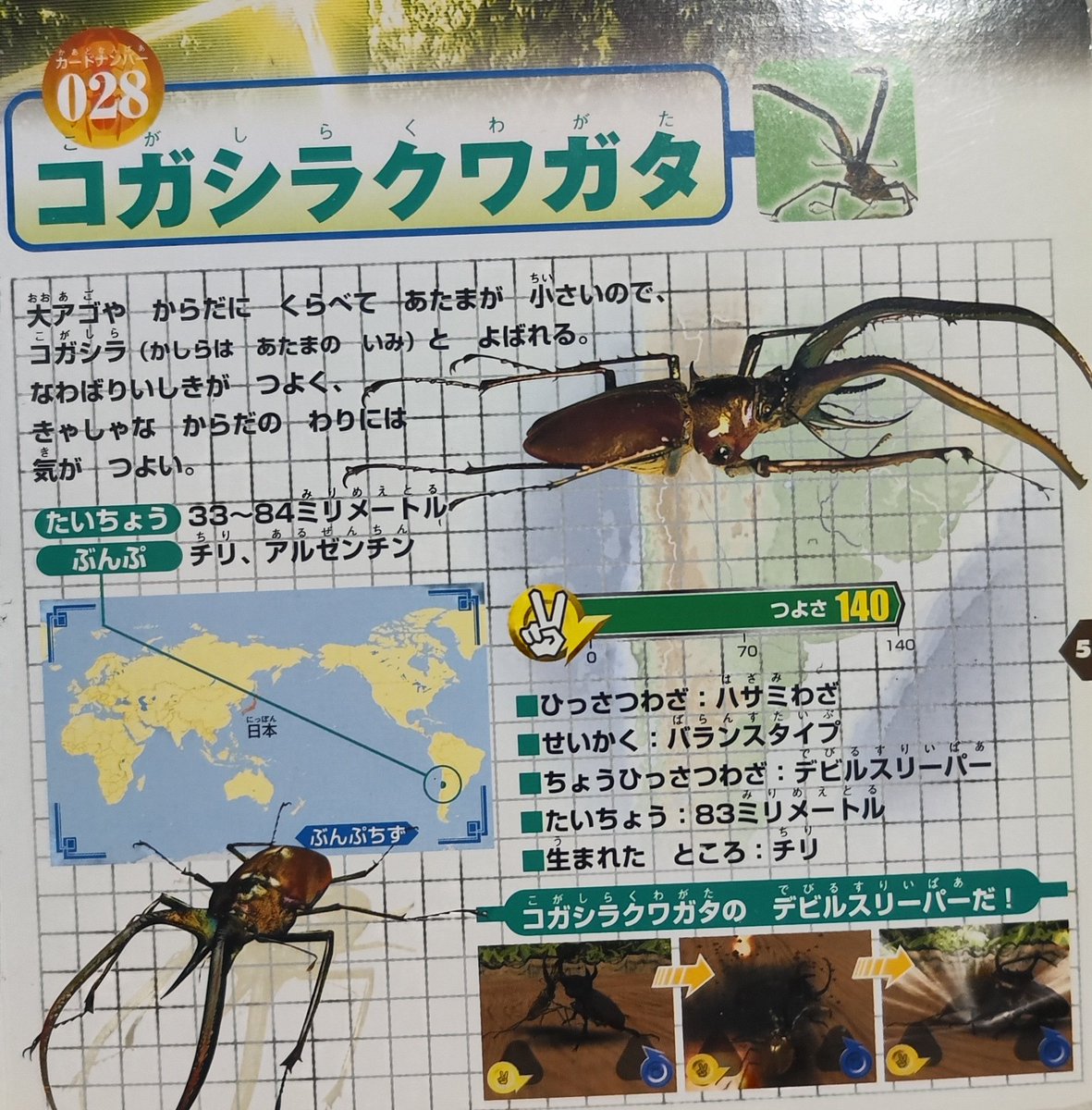 ムシキングの日 ムシキングに登場する飼育が不可能な虫