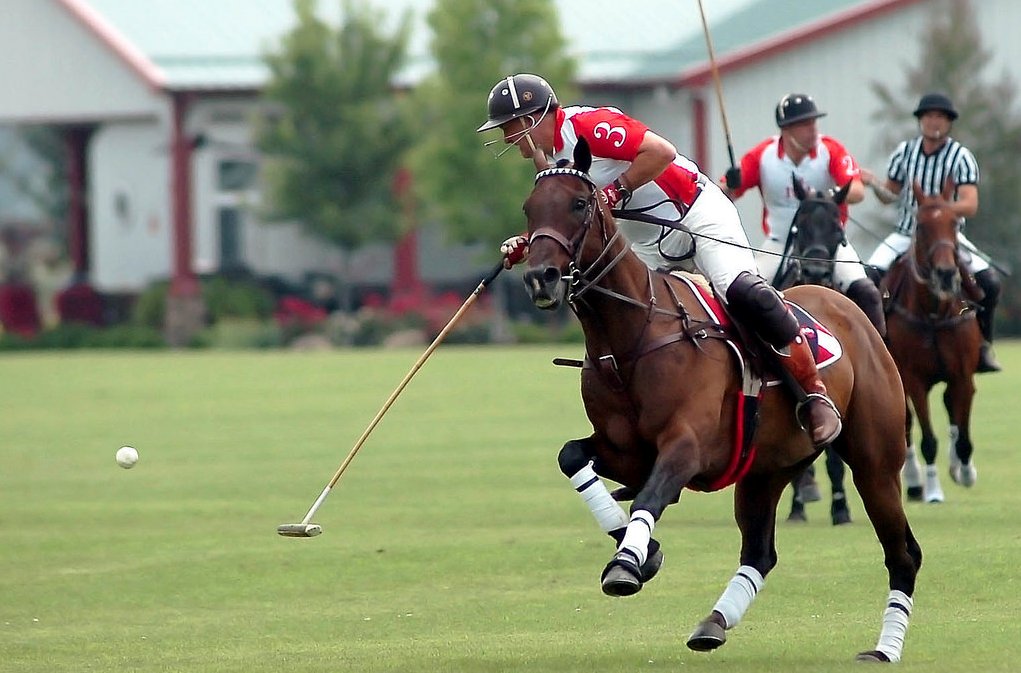 Heroes Foundation (@heroesfndtn) on Twitter photo The <a href="/HeroesFndtn/">Heroes Foundation</a> #TeamJOEY Program is the beneficiary of Hickory Hall Polo Club's Polo at Sunset next Friday, 6/13 - and we need your help! We are seeking volunteers to help the evening run smoothly. Details & Sign Up: volunteer.bloomerang.co/web-admin/app/…
#beatcancer #UnitingINAgainstCancer The <a href="/HeroesFndtn/">Heroes Foundation</a> #TeamJOEY Program is the beneficiary of Hickory Hall Polo Club's Polo at Sunset next Friday, 6/13 - and we need your help! We are seeking volunteers to help the evening run smoothly. Details & Sign Up: volunteer.bloomerang.co/web-admin/app/…
#beatcancer #UnitingINAgainstCancer