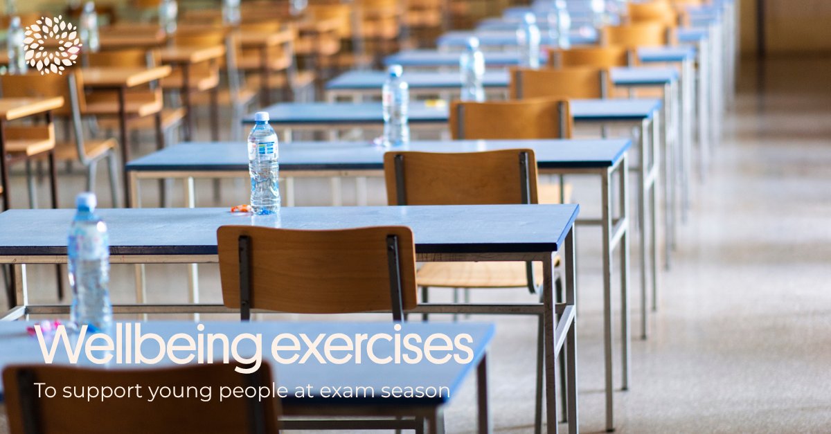 Best of luck to all students that started their state exams today! 📝

Exam season is a stressful time for a lot of students. These wellbeing activities might help you relax and unwind to help recharge your mind and body around your exam and study schedules.