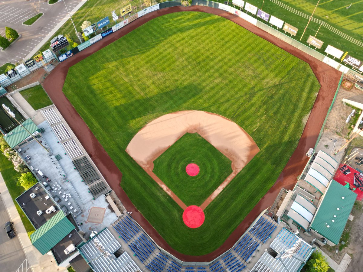 BallparkOne LLC tweet media