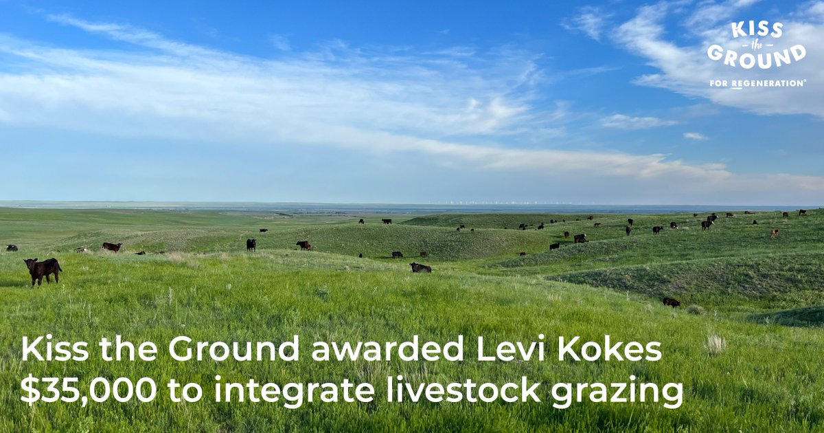 Get to know Levi along with other farmers and learn how they are utilizing their Kiss the Ground Regenerative Transition Grants!

kisstheground.com/farmer-features

#regeneration #regenerativeagriculture #5withafarmer #soil #regenerativefarming #farmers #farming