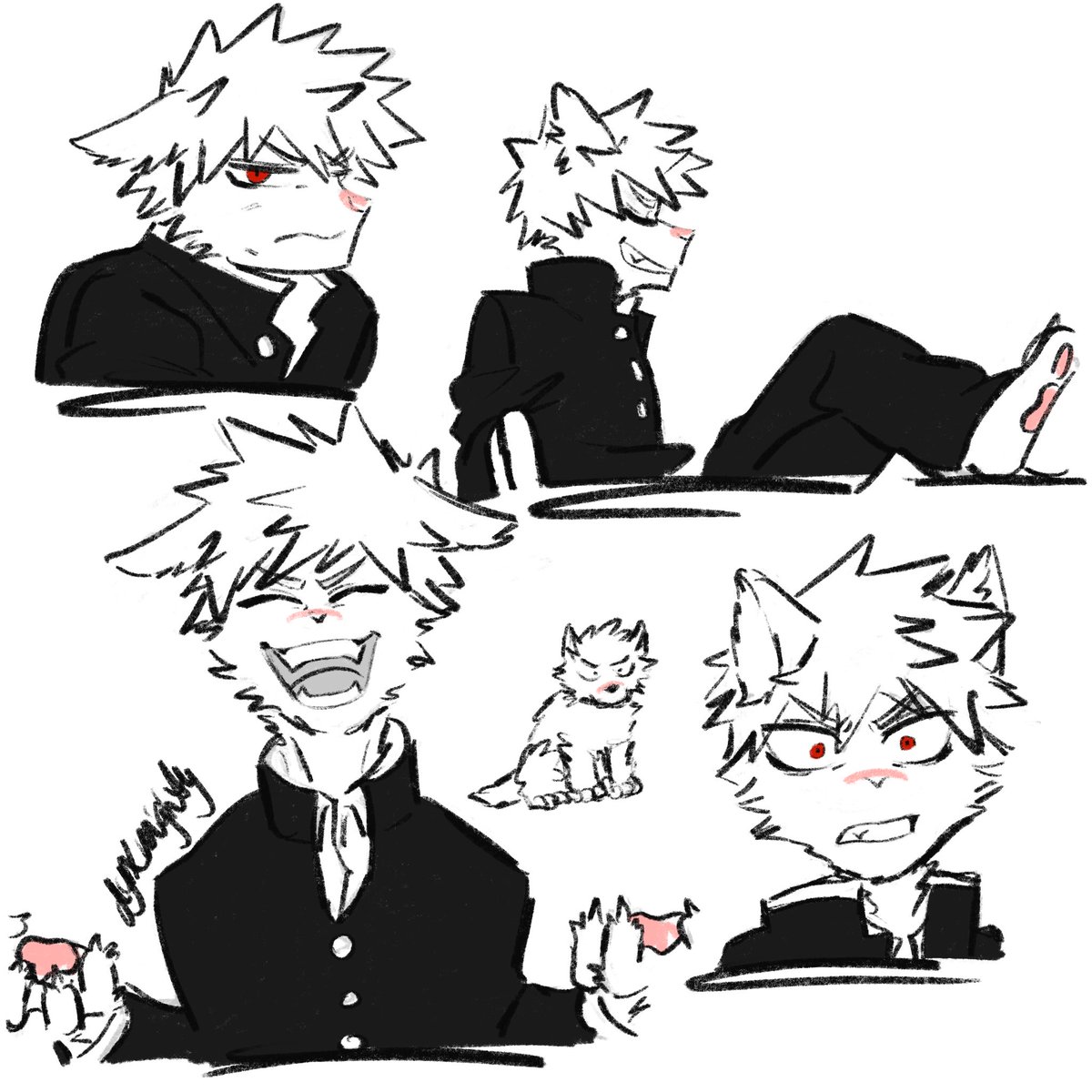 dynxmighty's tweet image. wolfsuki…