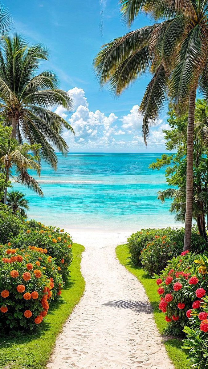 Amazing Nature (@amazingpicshq) on Twitter photo 