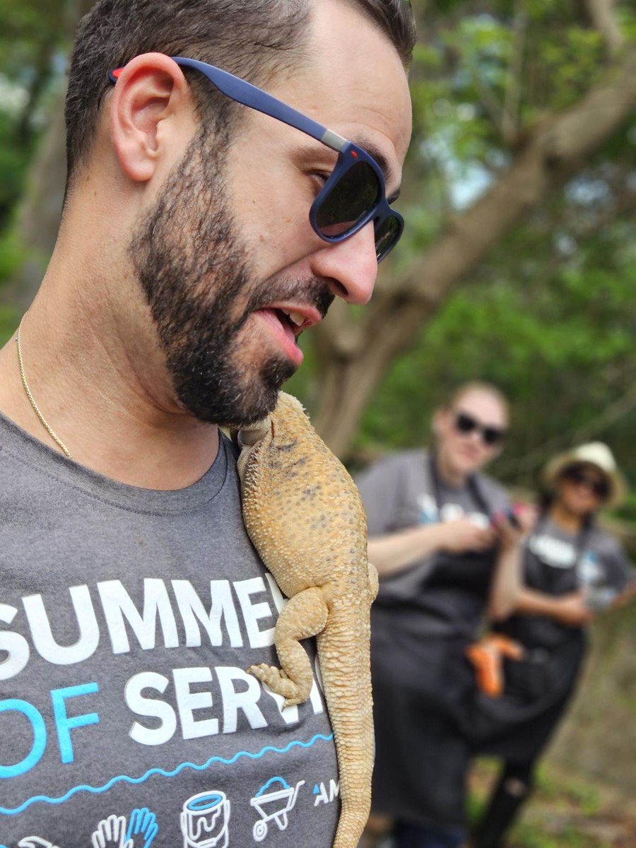 Thank you to the wonderful people at Amwins, our corporate volunteers, for working with the Day Services to plant a sunflower maze at Wheatley Farms 🌻. 

We can’t wait to see them grow 😊.