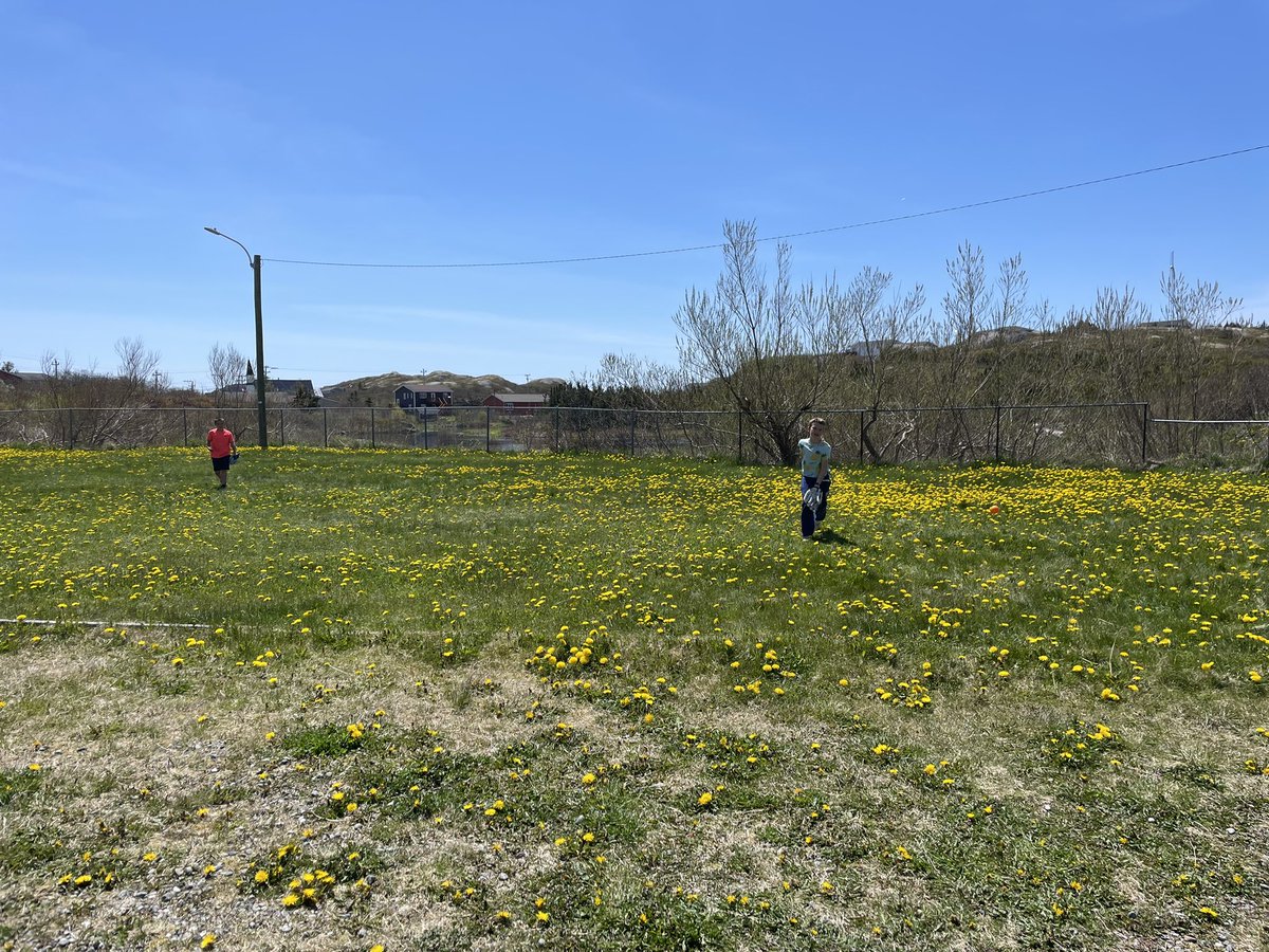 It was an absolutely glorious day in Burgeo today, a welcome change from the fog. It was so so glorious that we took an outside break to calm our brains for a math assessment. <a href="/BurgeoAcademy/">Burgeo Academy</a>