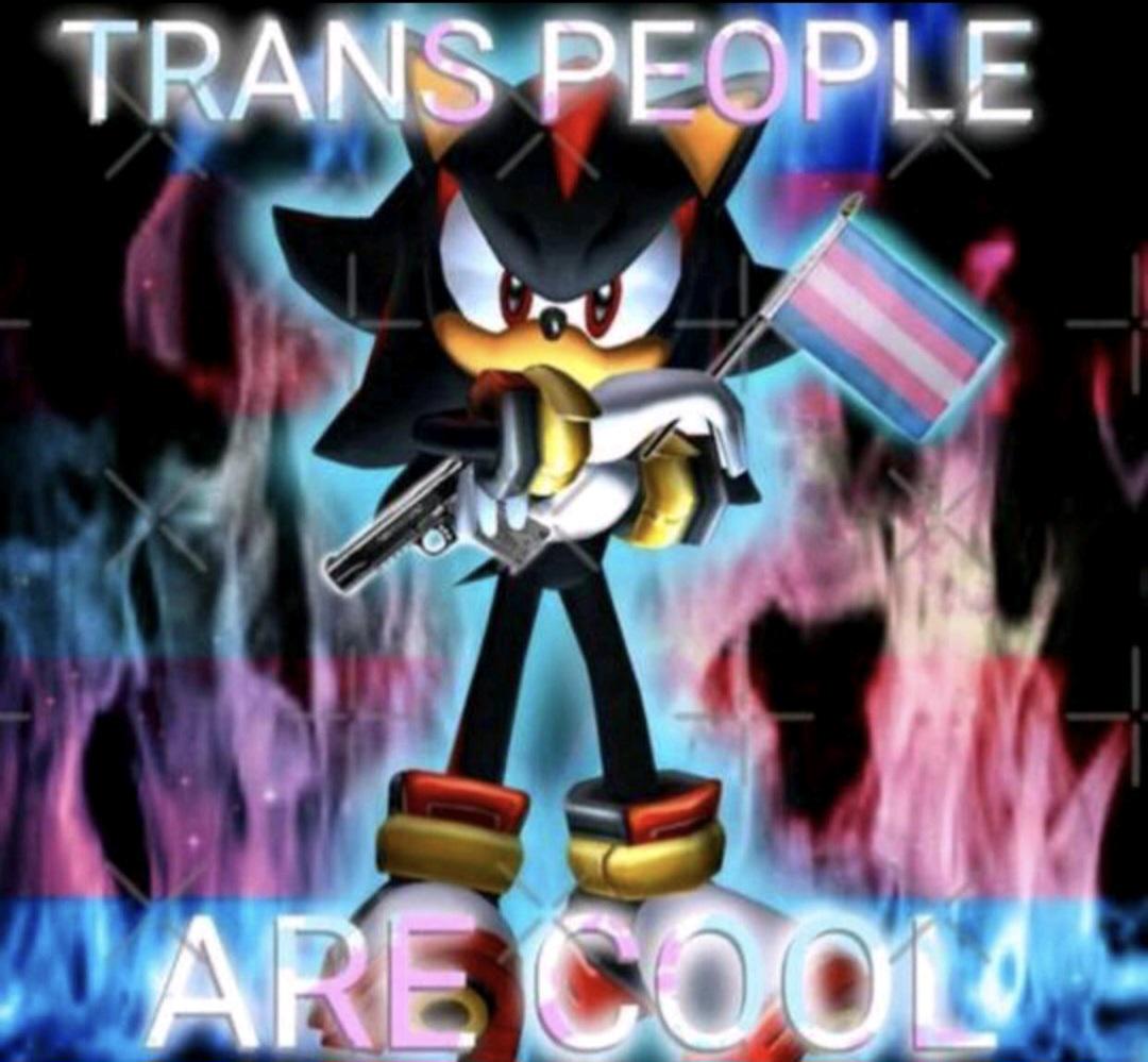 Egg🏳️‍⚧️🏳️‍🌈irl #Transfem Meme redd.it/1l3aquk