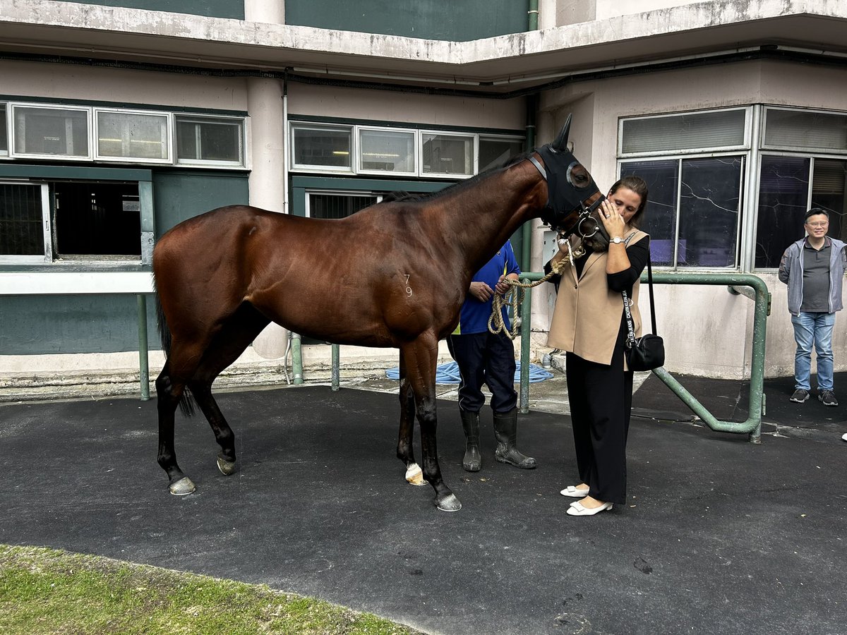 Frankie you must be watching down over your boy, he is racing better than ever 🙌Highden Park born and raised Golden Darci made it win number 2 at Happy Valley last night in a C4 over 1200m. Congratulations to all connections, he continues to improve like we know the family does.