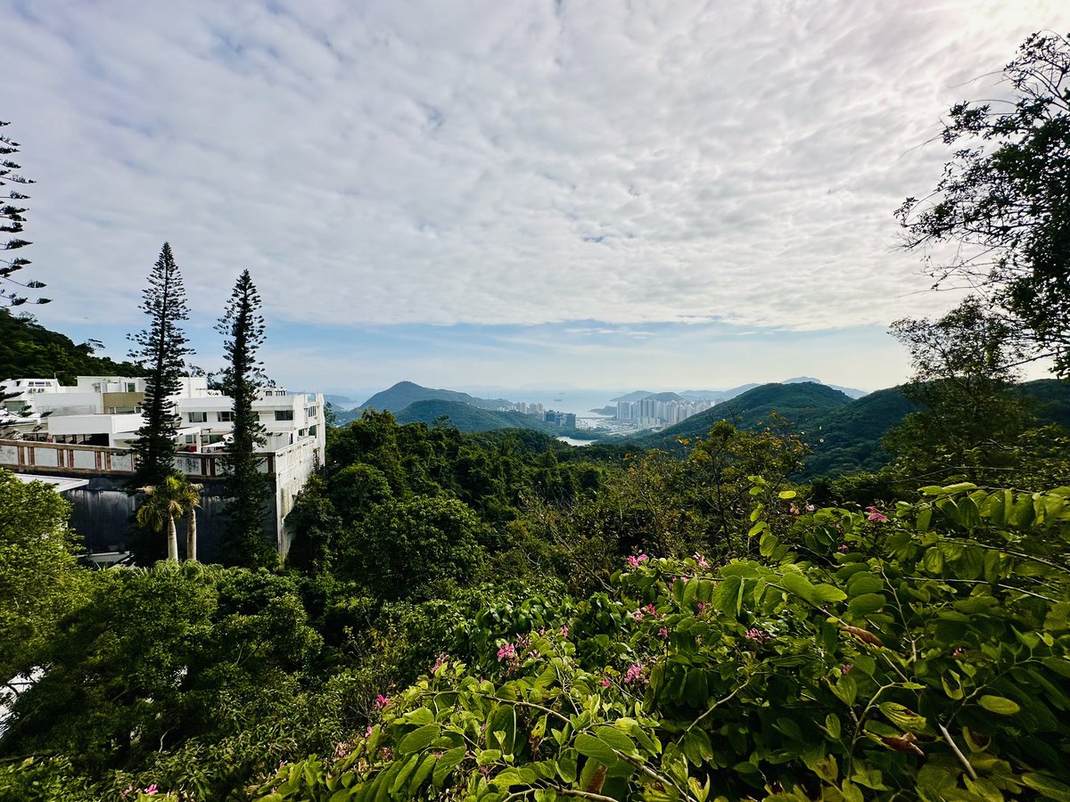 Nicolas Dauphas tweet media