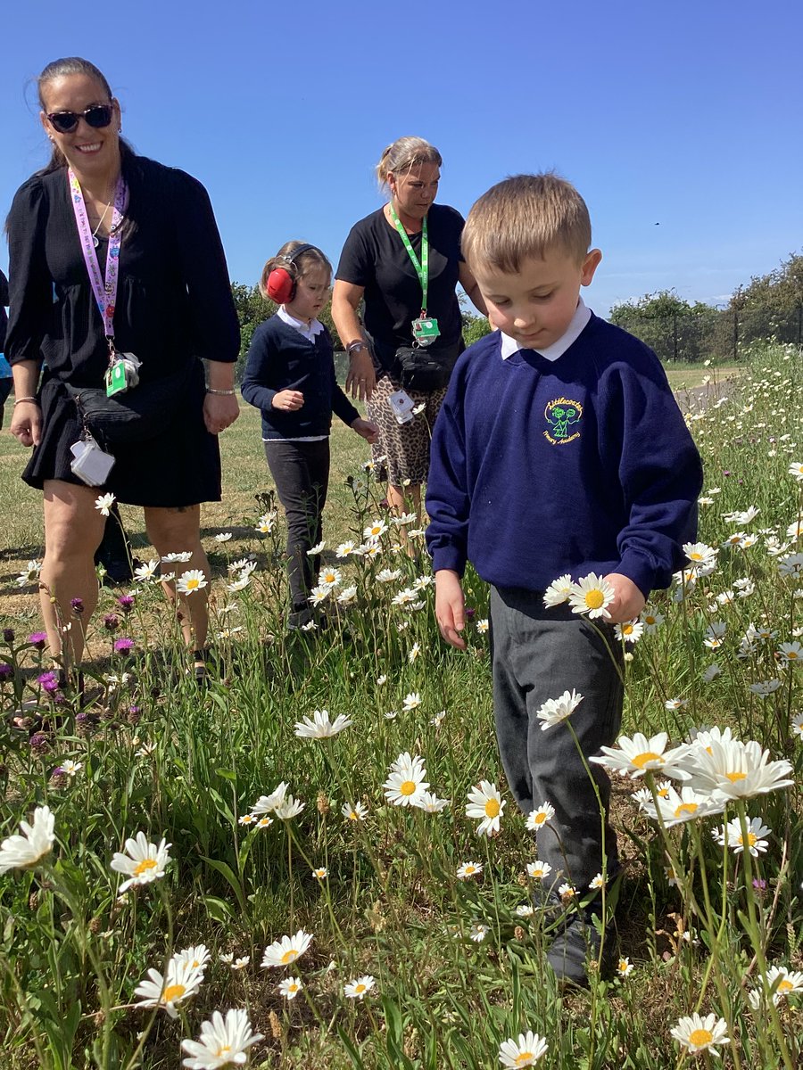 Trent View College tweet media