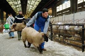 Gsn1zKAWUAASts0?format=jpg&name=360x360