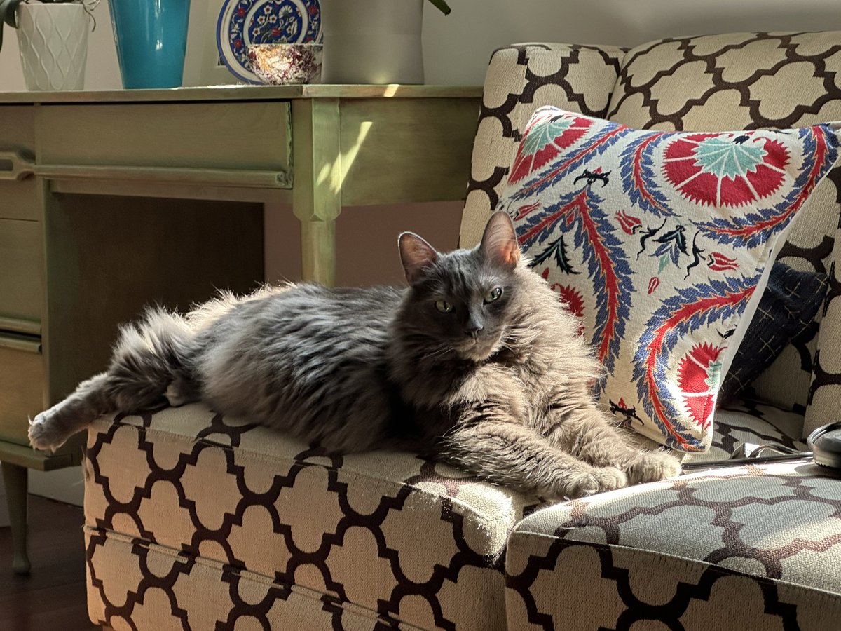 Draw me like one of your French girls