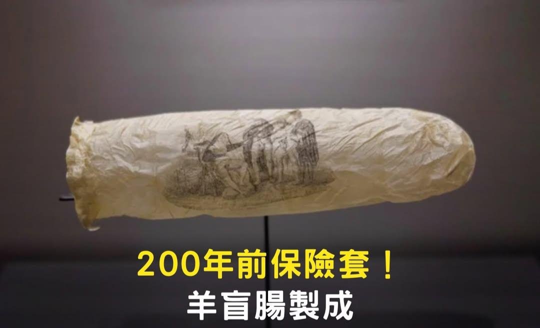 #YU老濕上課
這枚保險套製作於1830年左右，使用羊的盲腸作為材料，長度約為20公分「呈現出性健康中既有趣又嚴肅的一面」，保險套大多以亞麻、動物內膜甚至龜殼製成。當時保險套主要在妓院或理髮店暗地販售，僅有少數高級店鋪提供客製化服務。」