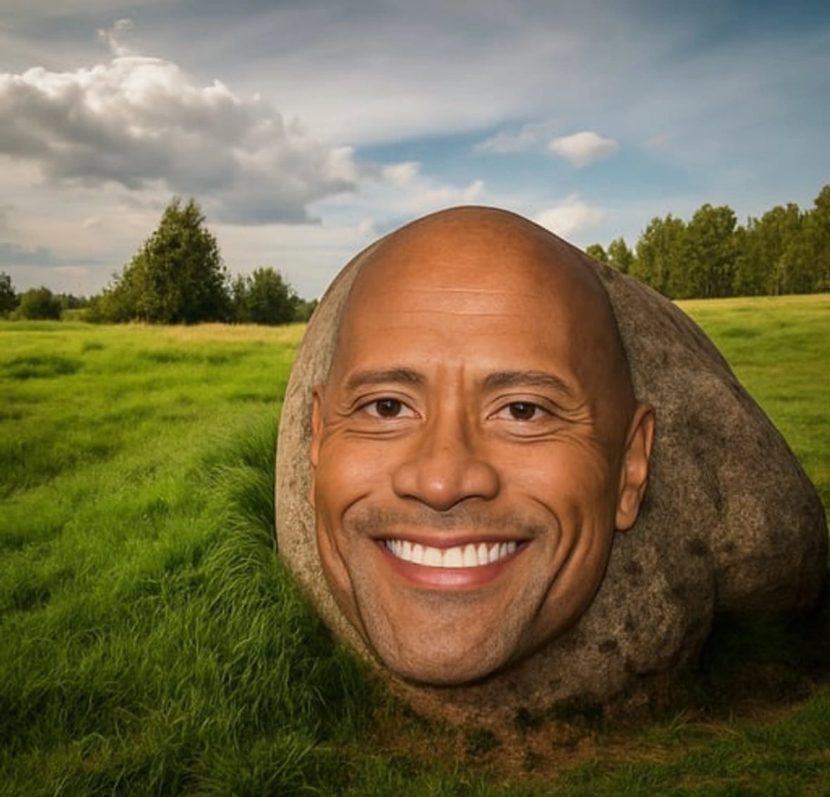 MemeRetire's tweet photo. The $Rock dev - change the banner to this. It would send 

Current banner is so fucking weird tbh 

DQyMpcJizX9ZGyE65ANNWGUQ9MFcCm1vGwn7oRopump

$nsnse $zeus $trump $coded $pump $mask $troll #fartcoin $alon $kori $usdtc #spriggle $normie $ball #autopen #breadpitt #memelord $pace $jff