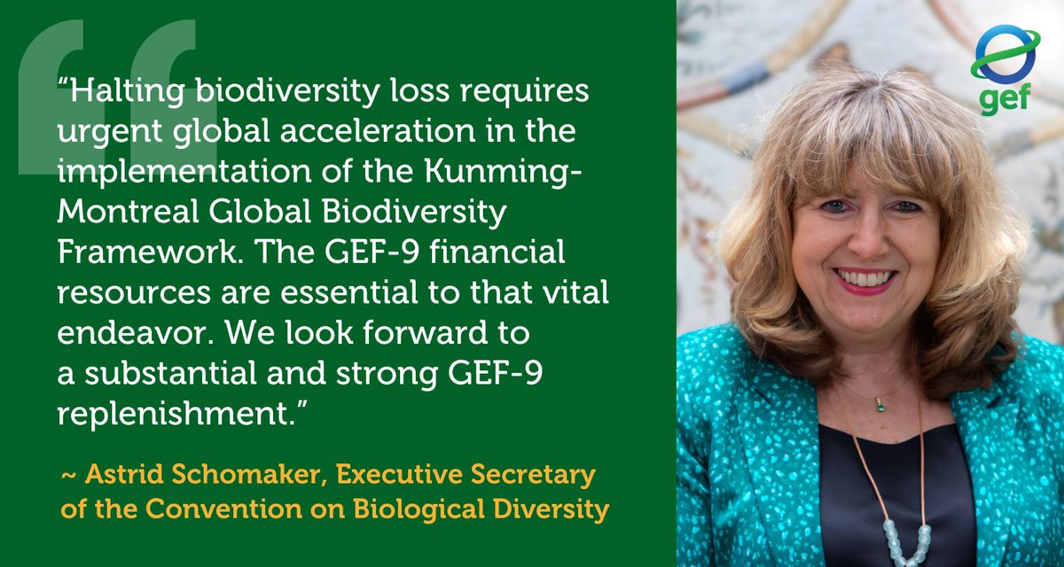 Global Environment Facility (GEF) (@thegef) on Twitter photo .<a href="/theGEF/">Global Environment Facility (GEF)</a> and <a href="/UNBiodiversity/">UN Biodiversity</a> work together on conserving #biodiversity around the globe. As its financial mechanism, the GEF funds projects that align with the CBD's goals, fostering international cooperation and capacity building.
#GEFcouncil69 .<a href="/theGEF/">Global Environment Facility (GEF)</a> and <a href="/UNBiodiversity/">UN Biodiversity</a> work together on conserving #biodiversity around the globe. As its financial mechanism, the GEF funds projects that align with the CBD's goals, fostering international cooperation and capacity building.
#GEFcouncil69