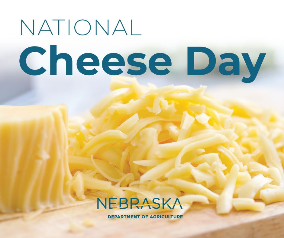 Happy National Cheese Day! While Nebraska is not the ‘Cheese State’ we do have our own cheese! Developed at the University of Nebraska, the Husker Cheese is the most popular cheese at the UNL Dairy Store.