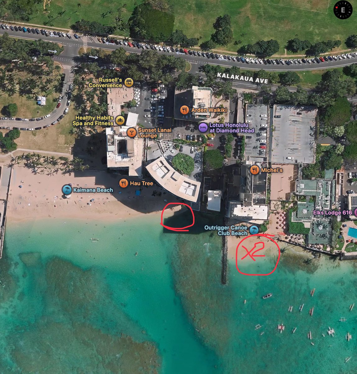 hawaii_isla808's tweet photo. What a beautiful day in Waikīkī! Spotted two Hawaiian monk seals relaxing near the Outrigger and Michel’s, and another one soaking up the sun at Kaimana Beach. 🦭☀️

Mahalo to the volunteers and marine life teams who help watch over them! #HawaiianMonkSeal #Waikiki #KaimanaBeach https://t.co/XxWugSH1WB