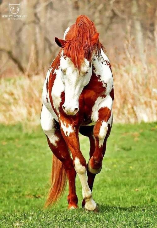 Curiosa-mente (@openmente2) on Twitter photo 