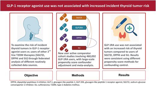 📢 New study in >4M patients with T2DM
Do GLP-1 receptor agonists increase thyroid tumor risk?

❌ No. Compared to SGLT2is, DPP-4is, and SUs, no increased risk of thyroid tumors or malignancy was found.

🔍 Large multinational study with robust methods (PSM, ITT &amp; on-treatment
