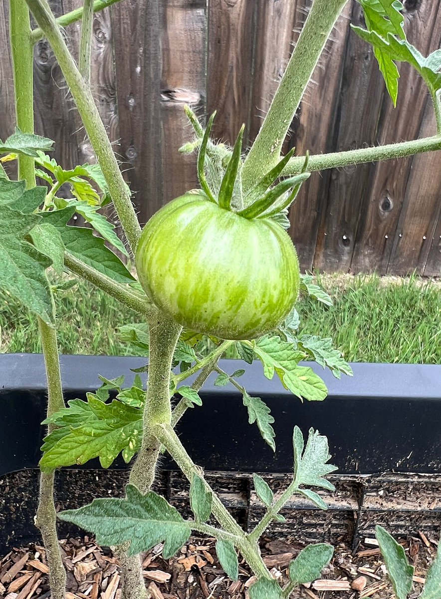 Oh, hello there…
