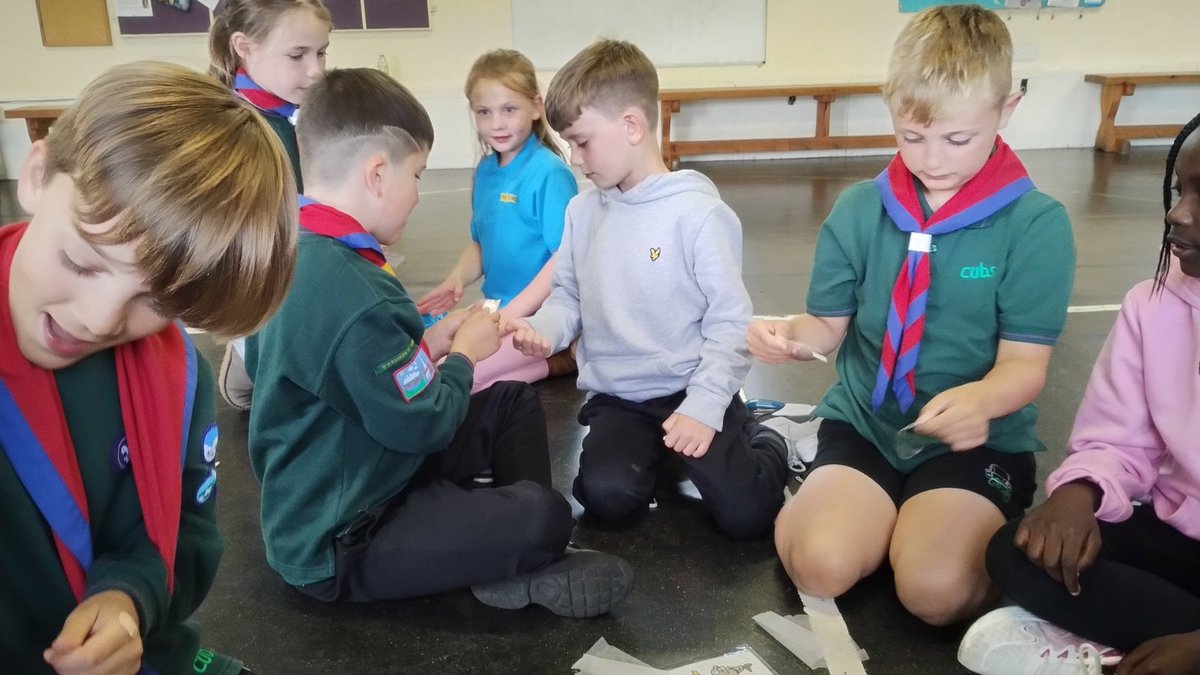 17th Barrow Scouts tweet media