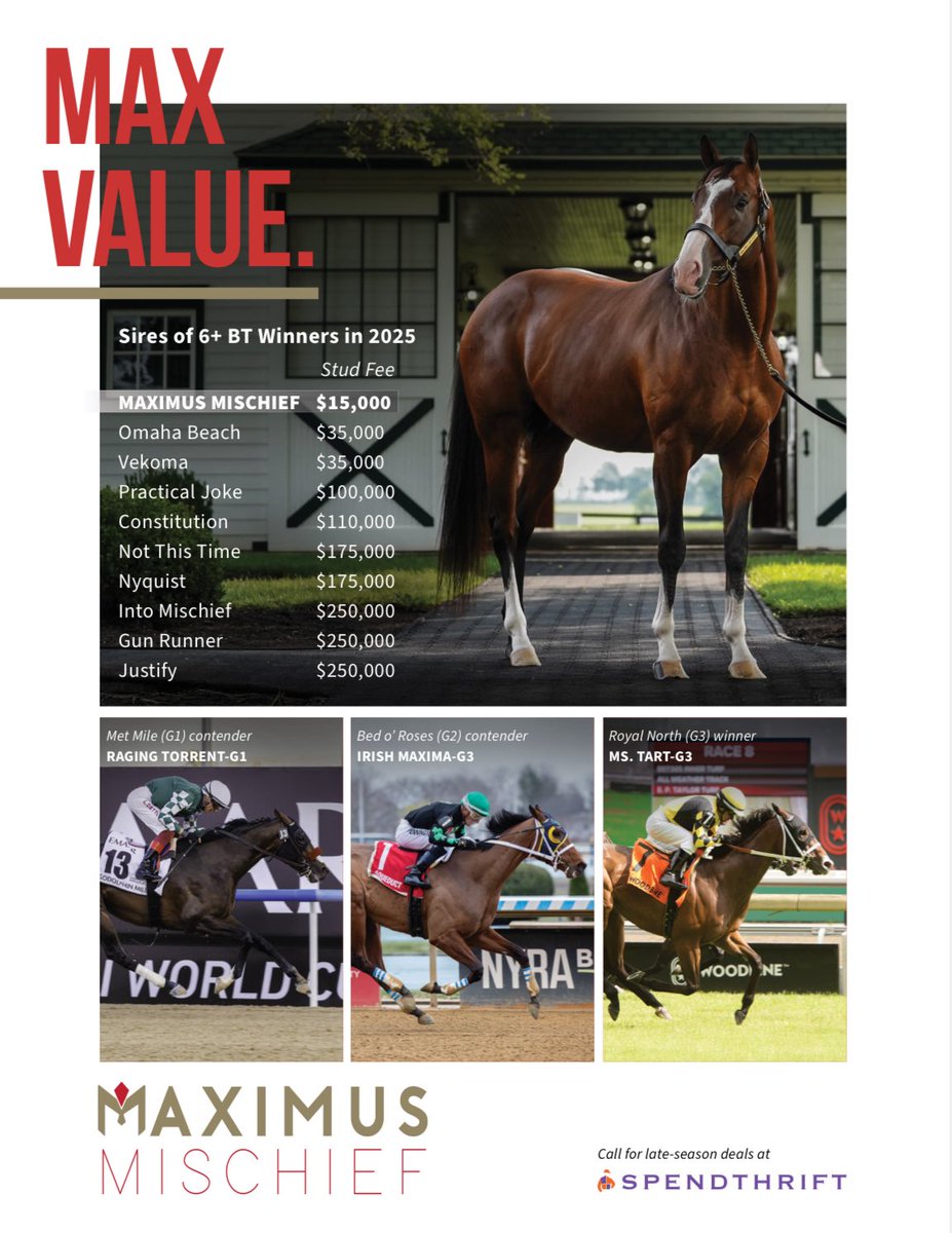 theTDN's tweet photo. Max Value with MAXIMUS MISCHIEF 💰
Sire of 6+ BT Winners in 2025.
Coming up: Represented by…
Raging Torrent in the GI Met Mile
Irish Maxima in the GII Bed o’ Roses
📍 @spendthriftfarm https://t.co/p1IjHyoiqI