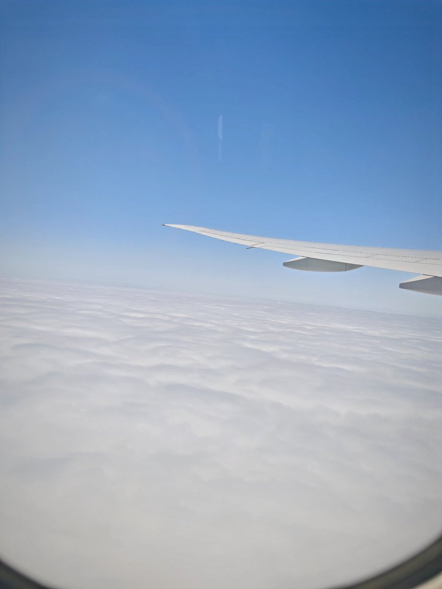 orbis (@dwarvenrockcake) on Twitter photo 