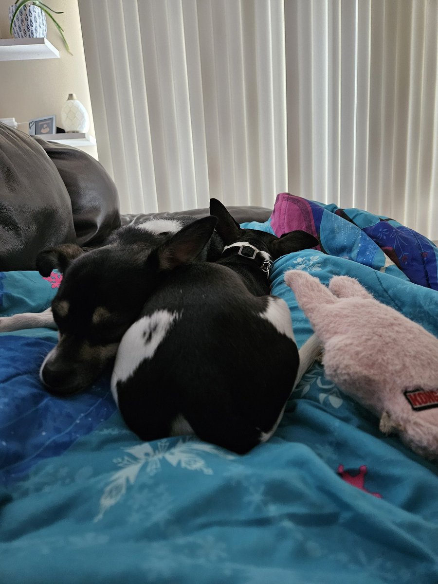 Whose butt goes with whose head? 😂