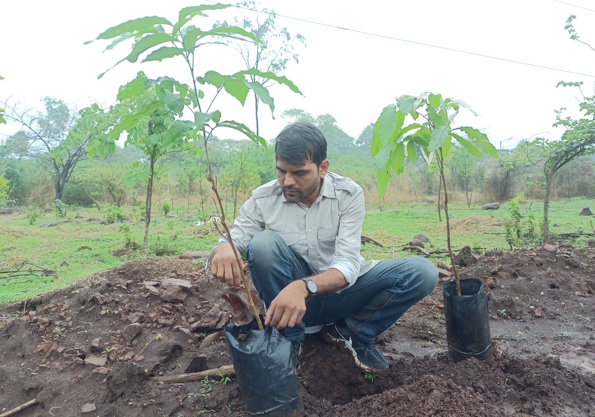 🙏🌱

#विश्व_पर्यावरण_दिवस 🌍 की हार्दिक शुभकामनाएं ।

बातें बंद कीजिए...!
पेड़ उगाइए.........!
पेड़ लगाइए.........!
पेड़ बचाइए.........!
तभी बचेगी धरती..!

#WorldEnvironmentDay #WorldEnvironmentDay2025 #treemanofindia #TreePlantation #rajasthan #bharat #EndingPlasticPollution