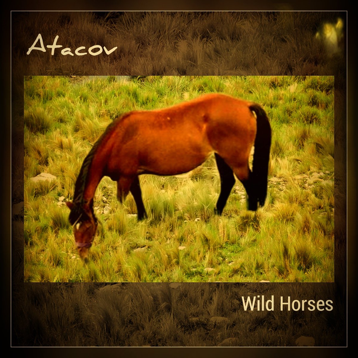 Atacov nuevo proyecto de covers, los dos primeros singles ya disponible en todas las plataformas digitales!

florecillarecords.lnk.to/WildHorses

florecillarecords.lnk.to/Blackbird