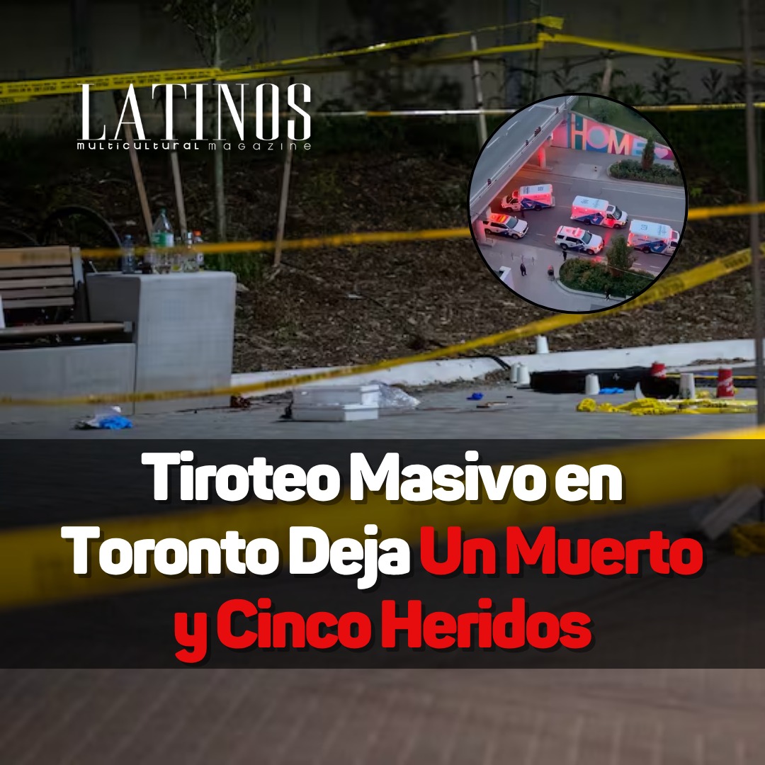 🔴 Tiroteo en Lawrence Heights la noche del martes dejó un hombre muerto y cinco heridos (4 hombres y 1 mujer). Ocurrió cerca de Ranee Ave y Allen Rd. Testigos escucharon hasta 20 disparos. Aún no hay sospechosos detenidos.

 #Tiroteo #Toronto #LatinosEnCanadá #LatinosMagazine