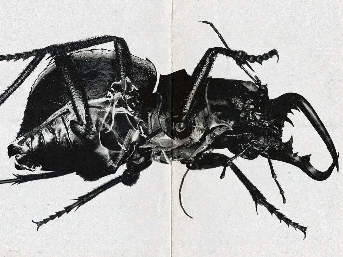 Massive Attack "Mezzanine" album cover by Nick Knight (1998)