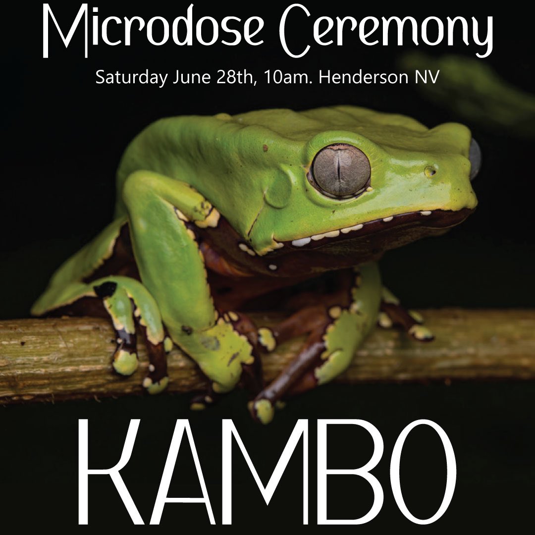 R4L83's tweet photo. Since 2018 I have been diving deeper with this medicine, personally and with those I serve, and I can say with every fiber of my being, this medicine has an intelligence that goes beyond what the human mind can comprehend. #Kambo #IndigenousMedicine #AnimalMedicine #Nature https://t.co/4CzFqhkowI