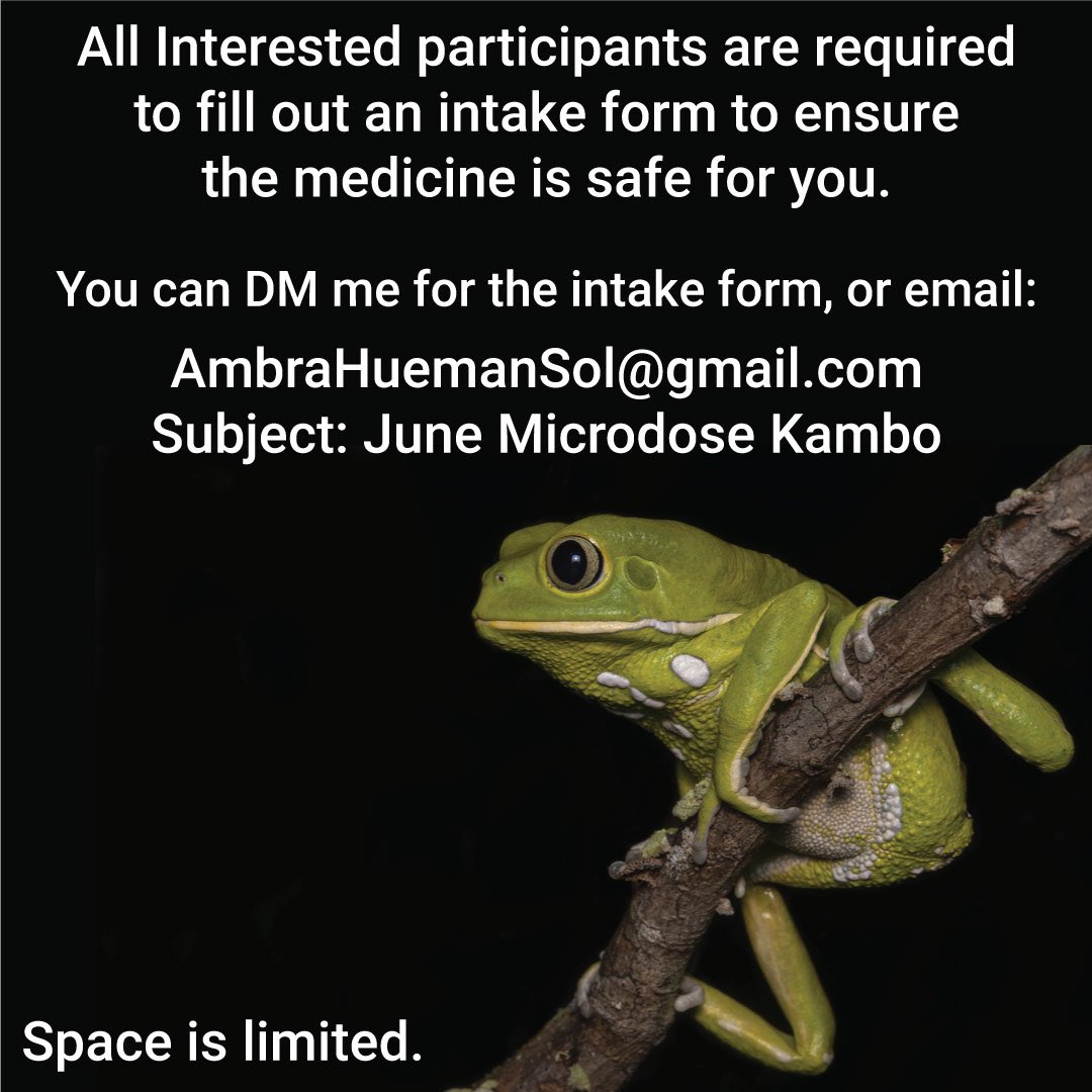 R4L83's tweet photo. Since 2018 I have been diving deeper with this medicine, personally and with those I serve, and I can say with every fiber of my being, this medicine has an intelligence that goes beyond what the human mind can comprehend. #Kambo #IndigenousMedicine #AnimalMedicine #Nature https://t.co/4CzFqhkowI