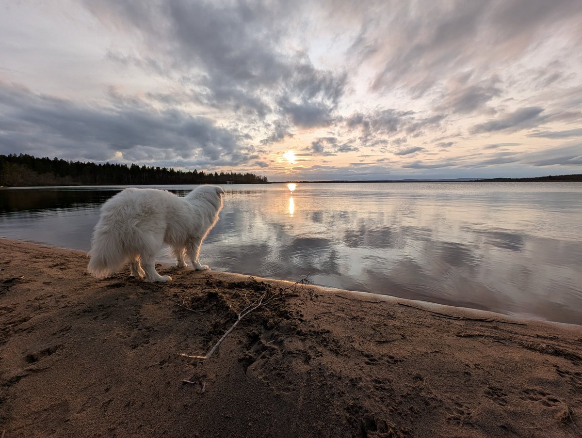 Looking into the infinite expanse

I really love the far north 😍
