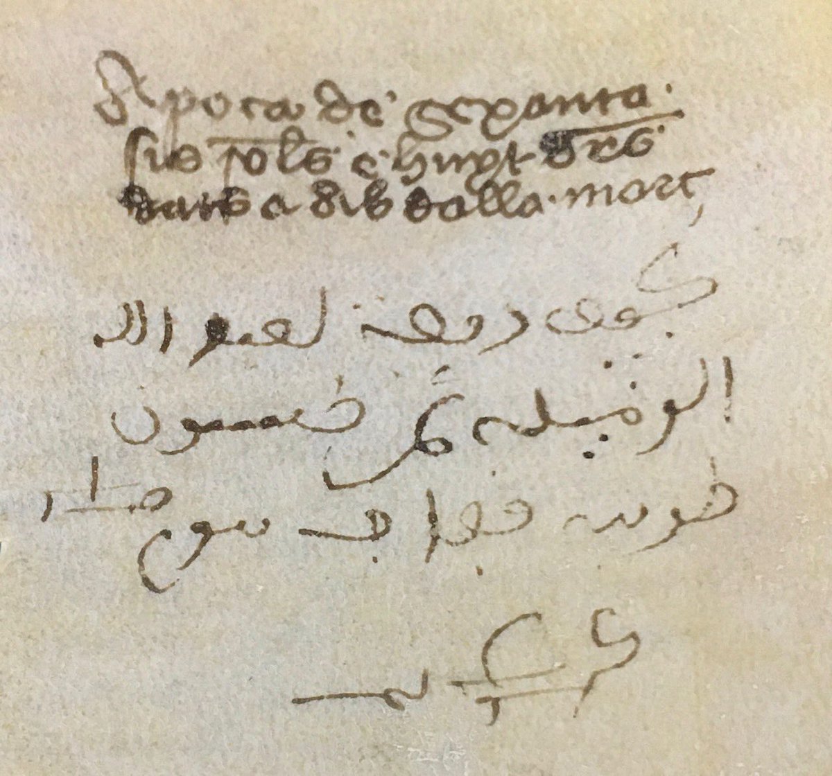 Les àpoques de les obres del castell de #Xàtiva, redactades en llatí per un notari, donen fe dels pagaments efectuats pels oficials reials. Però també són un testimoni de les llengües parlades a la ciutat:
“Àpoca de sexanta-sis solidos e huyt diners dats a Abdallla Marc"
✍️ 1431