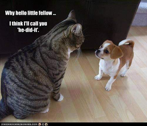 Patricia McCreary (@bamablonde11) on Twitter photo 