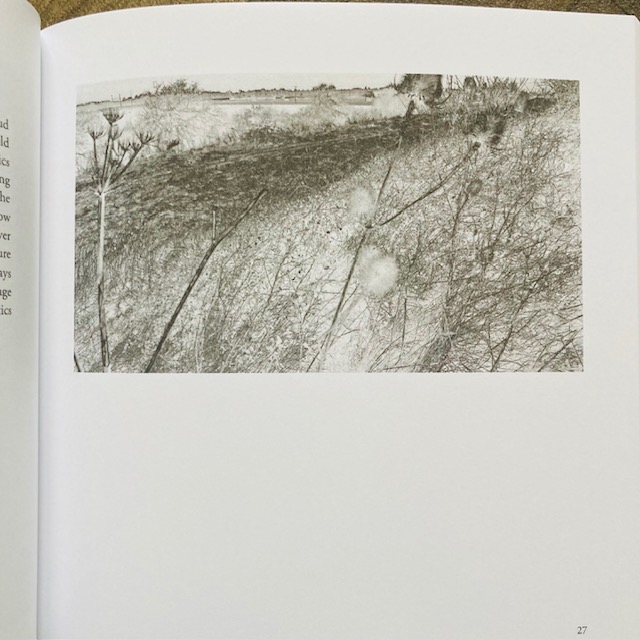 New: Frances Presley - Black Fens Viral

"Black Fens Viral began in summer 2020 when I was recovering from Covid. Lockdown was lifting &amp; I was able to travel to Norfolk on the slow train which goes through the Black Fens of East Anglia..."—Frances Presley

shearsman.com/store/Frances-…