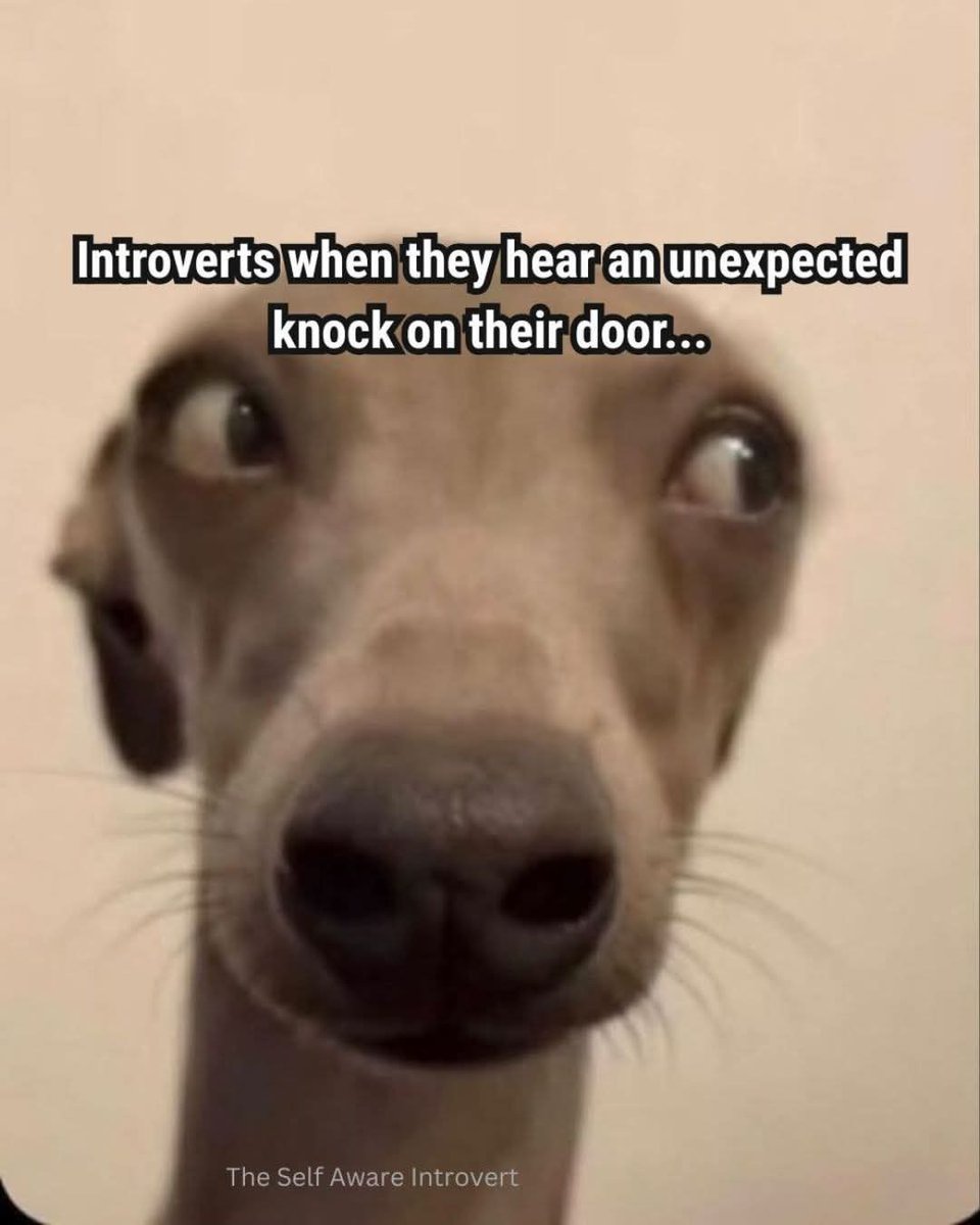 🙈