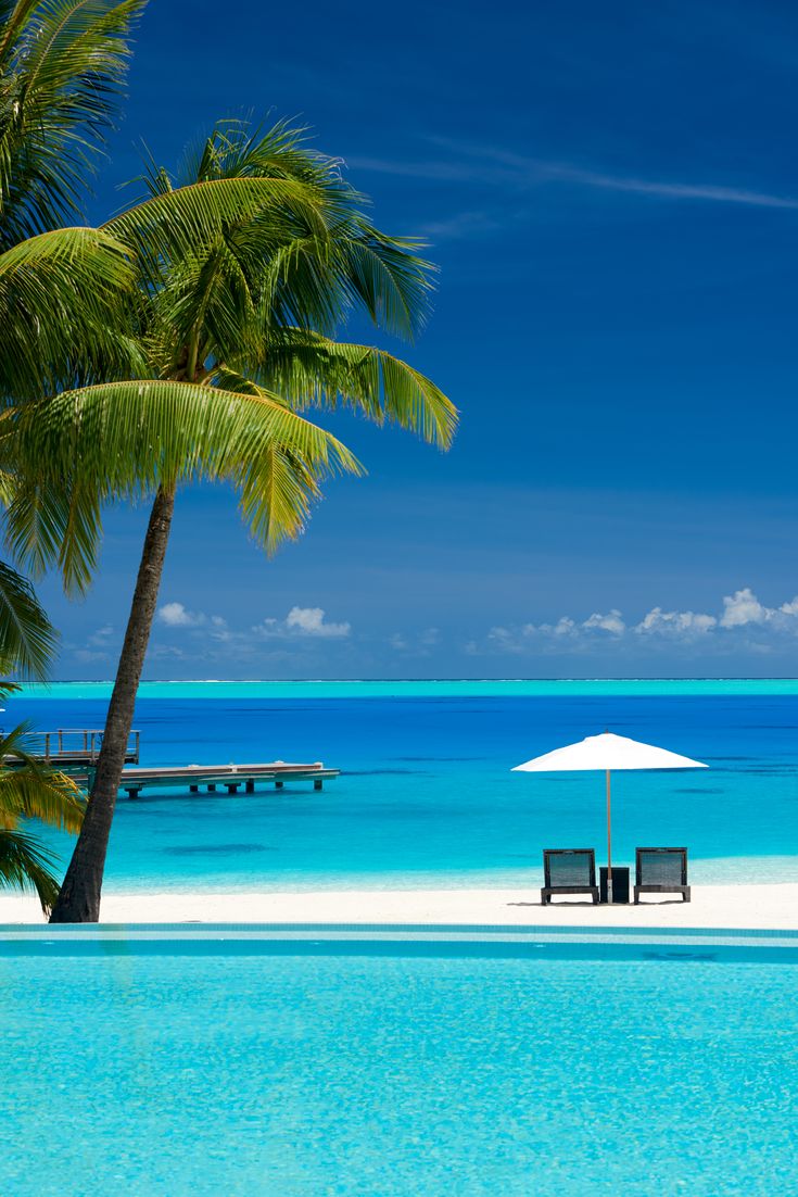 Amazing Nature (@amazingpicshq) on Twitter photo 