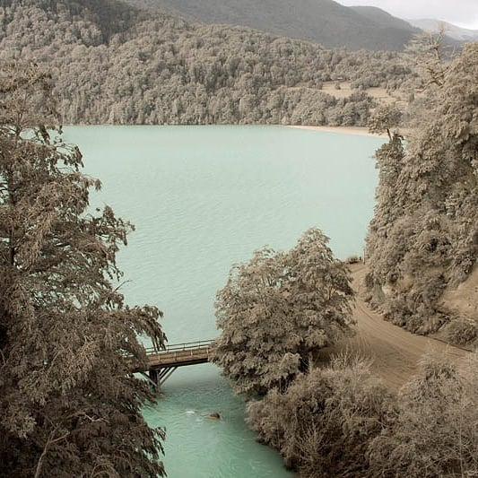 Ceci Martínez tweet media