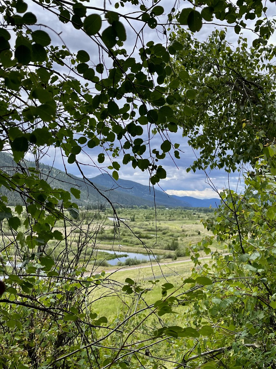 sallymauk's tweet image. One of the most inspiring stories I covered was the removal of the Milltown Dam and the reincarnation of what used to be a toxic reservoir into a beautiful state park. I had a lovely hike there among ladyslippers and wild roses, and birdsong galore. 
#goodnews