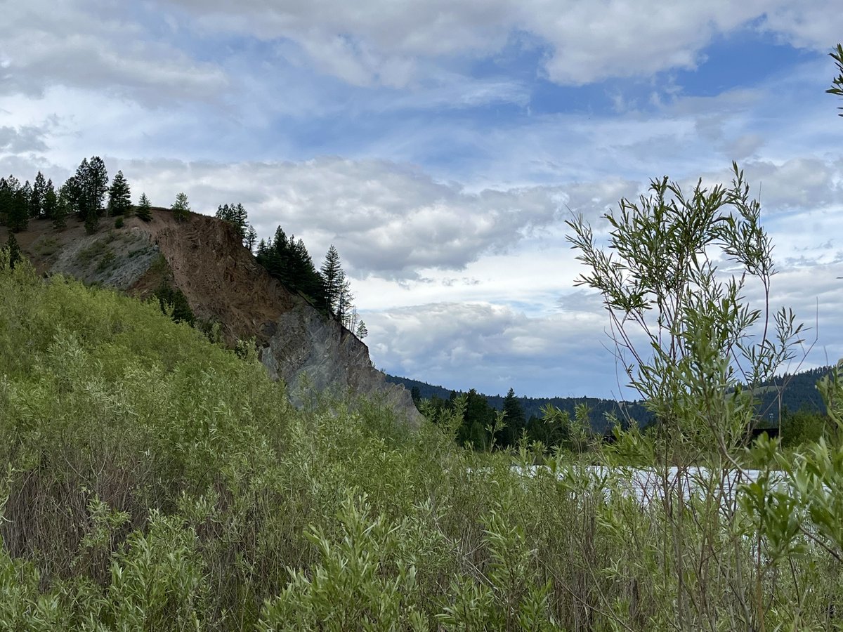 sallymauk's tweet image. One of the most inspiring stories I covered was the removal of the Milltown Dam and the reincarnation of what used to be a toxic reservoir into a beautiful state park. I had a lovely hike there among ladyslippers and wild roses, and birdsong galore. 
#goodnews