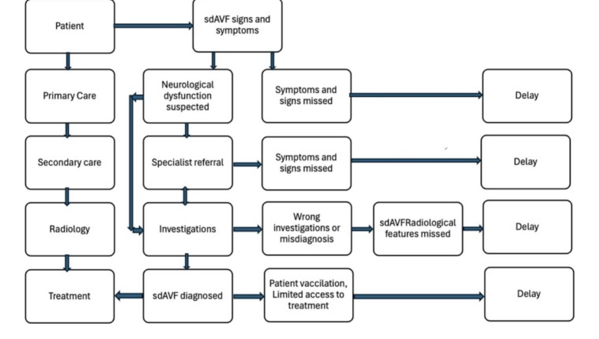 _jocn's tweet photo. 🚨 Delayed diagnosis = lasting damage 🧠🩻
New in @JOCNonline: Spinal dural AVFs are often undiagnosed for far too long. How do we do better?
#NeuroTwitter #MedEd #SpineMRI #AVF #DiagnosticDelay #neurosurgery #neurology
🔗 https://t.co/hvyn2veLuX https://t.co/GzEIsoRu5f