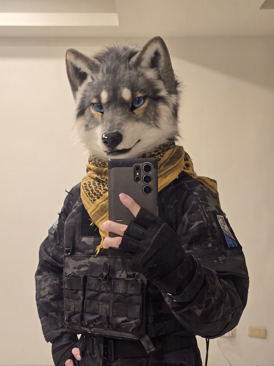 AkuWolf's tweet image. 🐺