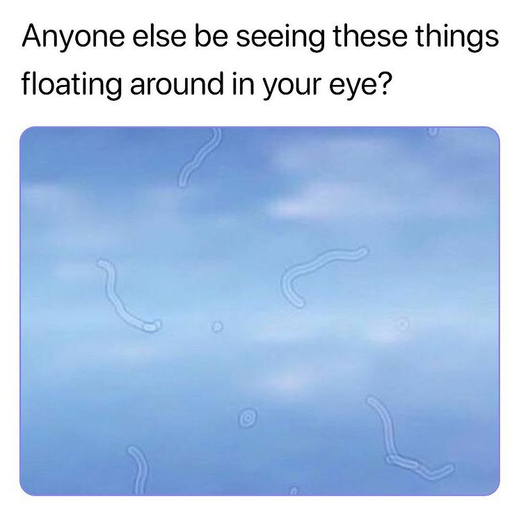 plz tell me I'm not alone