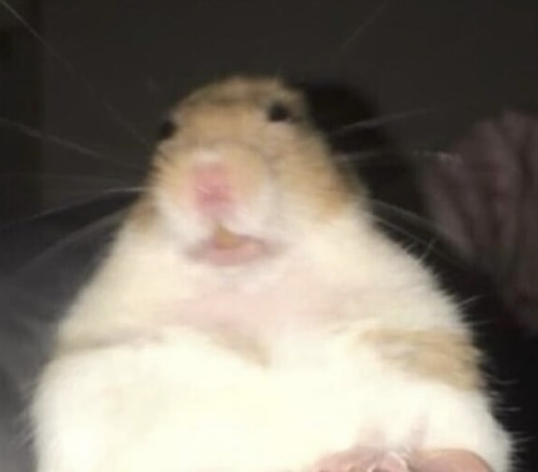 Quarter century on this earth