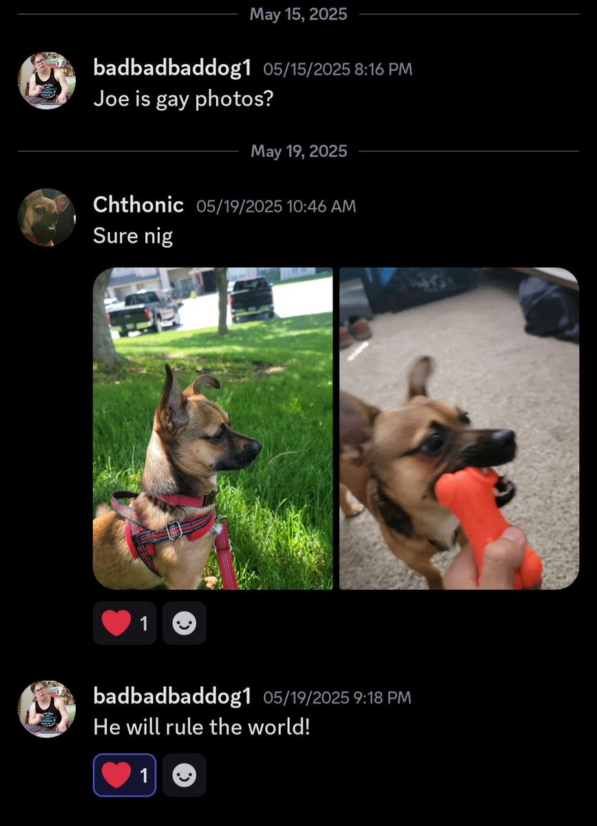 Little did I know this was our last interaction.. God dude, you helped me through so much in this last year. Genuinely gonna miss you, bro. Fuck man..