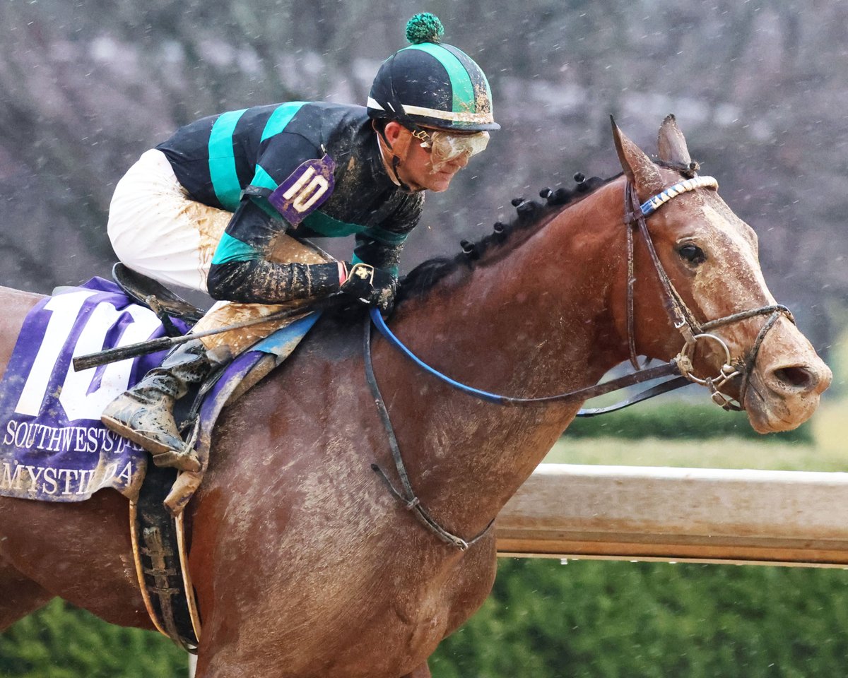 Oaklawn Hot Springs (@oaklawnracing) on Twitter photo ๐ Congratulations to jockey <a href="/b_hernandezjr/">Brian Hernandez</a> โ voted Jockey of the Week by <a href="/JockeysGuild/">Jockeys'Guild</a> after guiding Mystik Dan to victory in the Blame Stakes (G3)!
From a thrilling Kentucky Derby win to another stakes score, this duo continues to impress. ๐๐จ #MystikDan #JockeyOfTheWeek ๐ Congratulations to jockey <a href="/b_hernandezjr/">Brian Hernandez</a> โ voted Jockey of the Week by <a href="/JockeysGuild/">Jockeys'Guild</a> after guiding Mystik Dan to victory in the Blame Stakes (G3)!
From a thrilling Kentucky Derby win to another stakes score, this duo continues to impress. ๐๐จ #MystikDan #JockeyOfTheWeek
