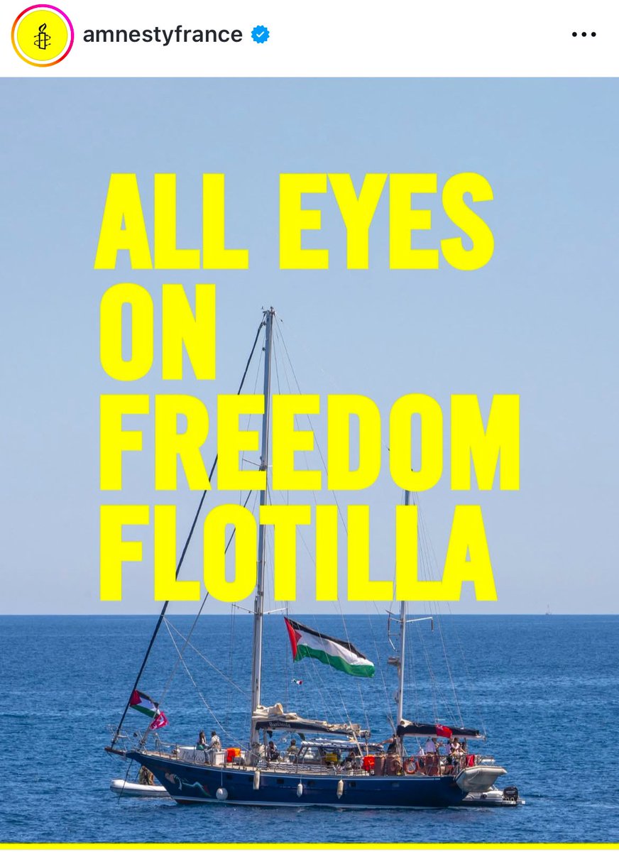 #AmnestyInternational 🙏 #FreedomFlotilla